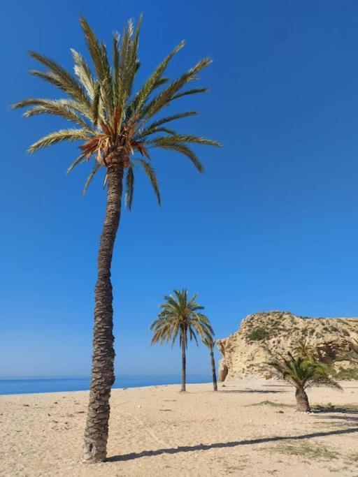 Sunny, Spacious 3 Bedroom With Seaview Villajoyosa