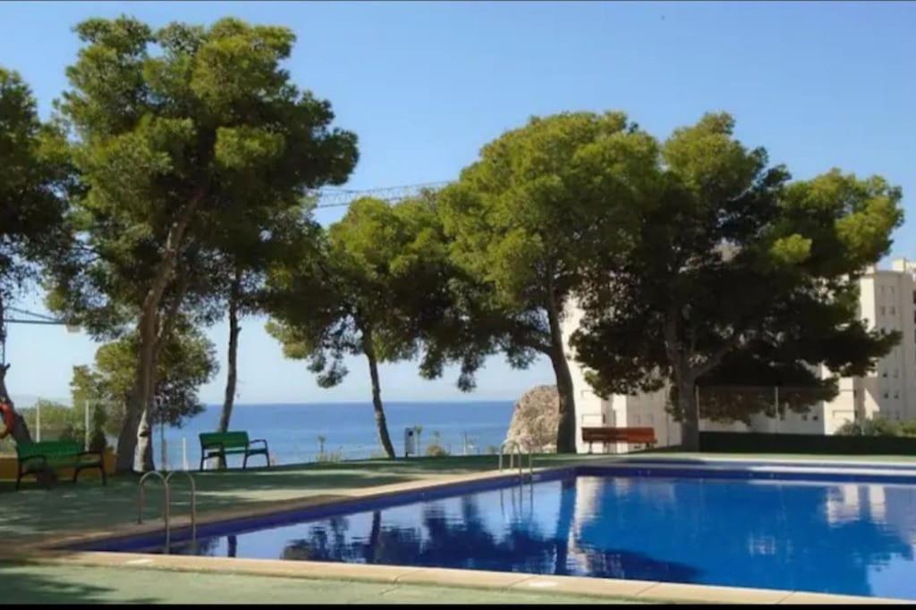 Sunny, Spacious 3 Bedroom With Seaview